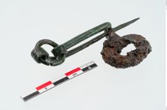 Foto von Bronzefibel (NHMW-PRAE-024996)